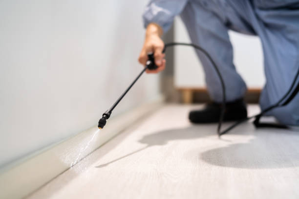 Licensed Termite Control service in Wyoming, OH - Nex Pest Control