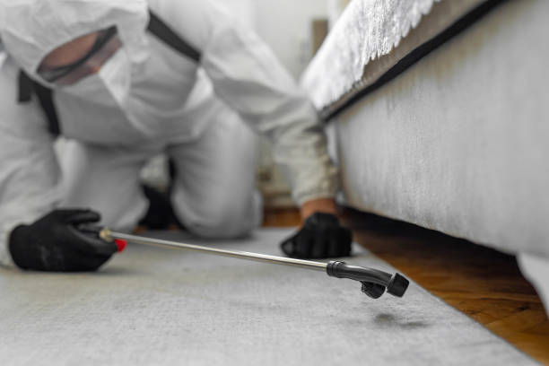 Professional Termite Control technician working in Wyoming, OH