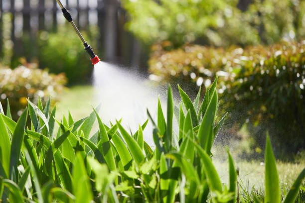 24/7 Emergency Termite Control experts in Wyoming, OH