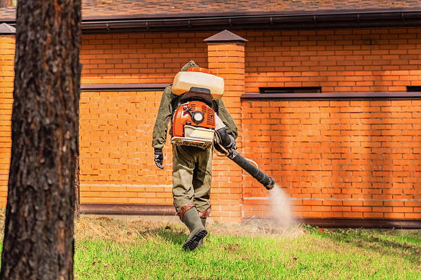 Top rated local Termite Control specialists in Wyoming, OH